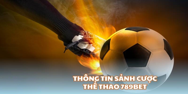 Những phiên bản giải trí thể thao hấp dẫn nhất tại nhà cái